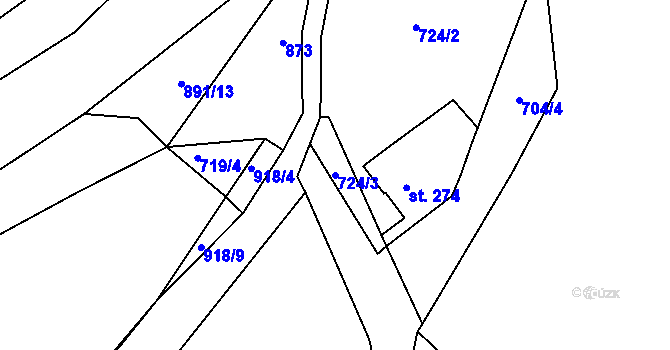 Parcela st. 724/3 v KÚ Vrapice, Katastrální mapa