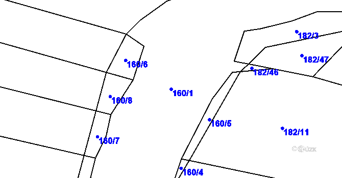 Parcela st. 160/1 v KÚ Trávník u Kladorub, Katastrální mapa
