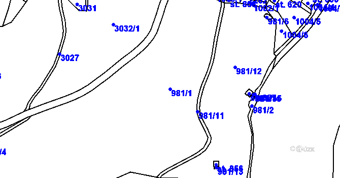 Parcela st. 981/1 v KÚ Klášterec nad Orlicí, Katastrální mapa