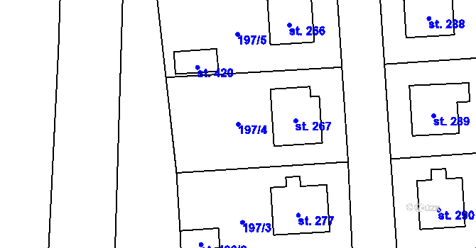 Parcela st. 197/4 v KÚ Luby, Katastrální mapa