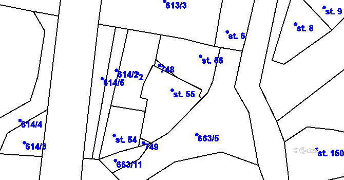 Parcela st. 55 v KÚ Kleneč, Katastrální mapa