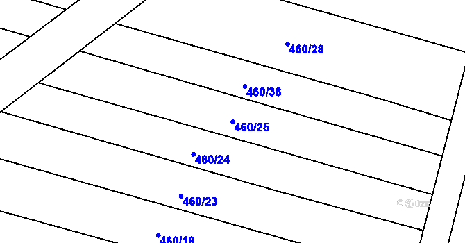 Parcela st. 460/25 v KÚ Klešice, Katastrální mapa