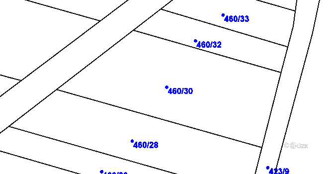 Parcela st. 460/30 v KÚ Klešice, Katastrální mapa