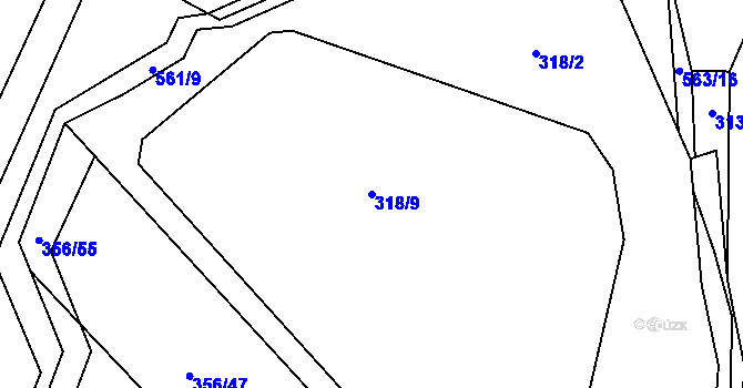 Parcela st. 318/9 v KÚ Klešice, Katastrální mapa