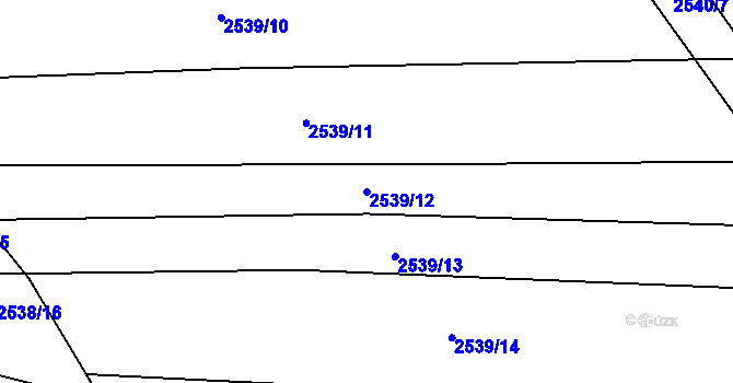 Parcela st. 2539/12 v KÚ Klobouky u Brna, Katastrální mapa
