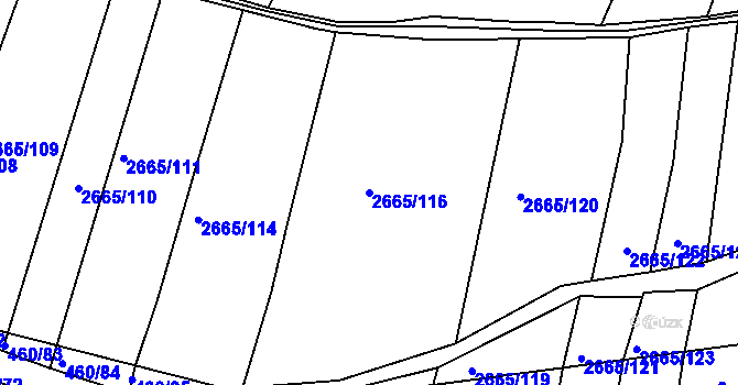 Parcela st. 2665/116 v KÚ Klobouky u Brna, Katastrální mapa