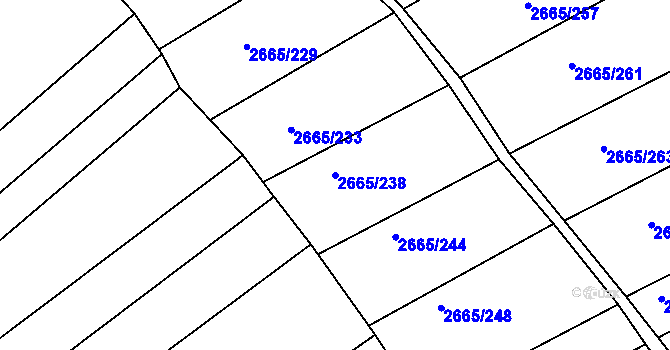Parcela st. 2665/238 v KÚ Klobouky u Brna, Katastrální mapa