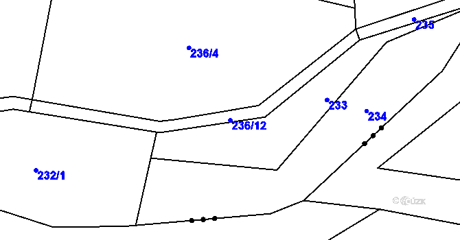 Parcela st. 236/12 v KÚ Loučky u Turnova, Katastrální mapa