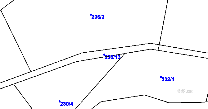 Parcela st. 236/13 v KÚ Loučky u Turnova, Katastrální mapa