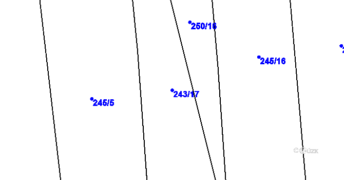 Parcela st. 243/17 v KÚ Kluk, Katastrální mapa