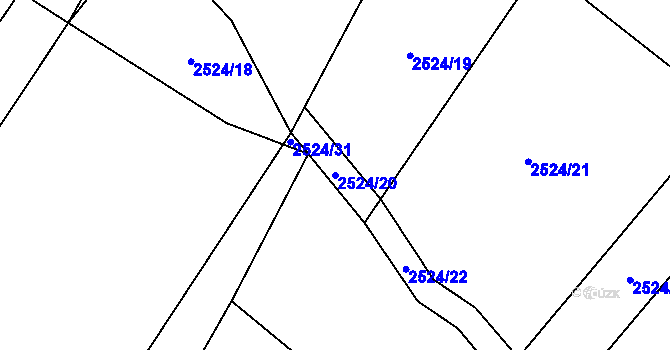 Parcela st. 2524/20 v KÚ Kluky u Písku, Katastrální mapa