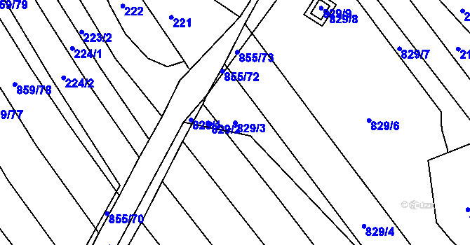 Parcela st. 829/3 v KÚ Kobeřice u Brna, Katastrální mapa