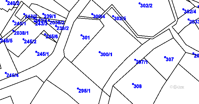 Parcela st. 300/1 v KÚ Koblov, Katastrální mapa