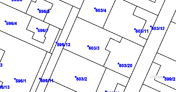 Parcela st. 603/3 v KÚ Koblov, Katastrální mapa