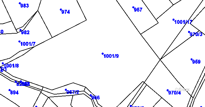 Parcela st. 1001/9 v KÚ Kobylí, Katastrální mapa