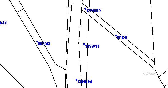 Parcela st. 1299/91 v KÚ Kobylí, Katastrální mapa