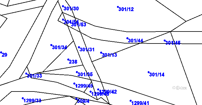Parcela st. 301/13 v KÚ Kobylí, Katastrální mapa