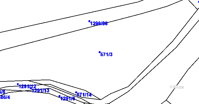 Parcela st. 571/3 v KÚ Kobylí, Katastrální mapa