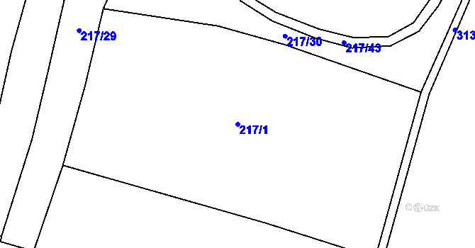 Parcela st. 217/1 v KÚ Kobylnice, Katastrální mapa