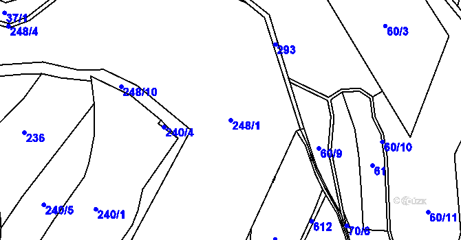 Parcela st. 248/1 v KÚ Kobylnice, Katastrální mapa