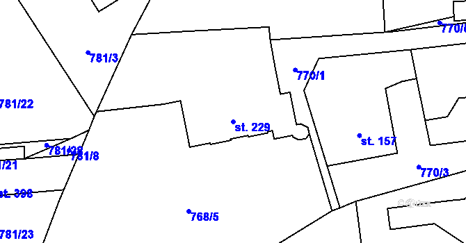 Parcela st. 229 v KÚ Kokonín, Katastrální mapa