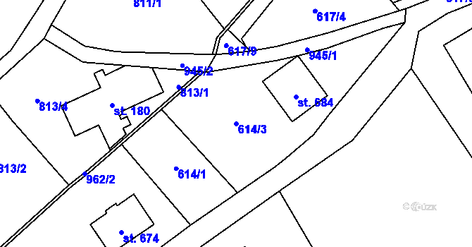 Parcela st. 614/3 v KÚ Kokonín, Katastrální mapa