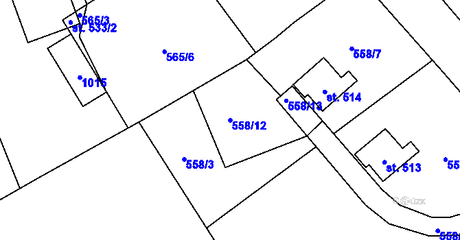 Parcela st. 558/12 v KÚ Kokonín, Katastrální mapa