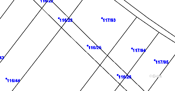 Parcela st. 116/25 v KÚ Kolaje, Katastrální mapa