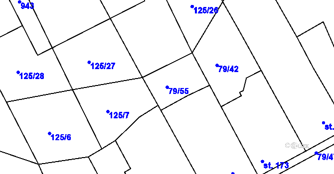Parcela st. 79/55 v KÚ Kolinec, Katastrální mapa