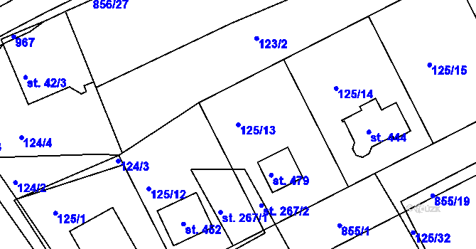 Parcela st. 125/13 v KÚ Kolinec, Katastrální mapa