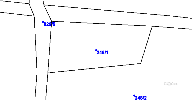 Parcela st. 248/1 v KÚ Kolinec, Katastrální mapa