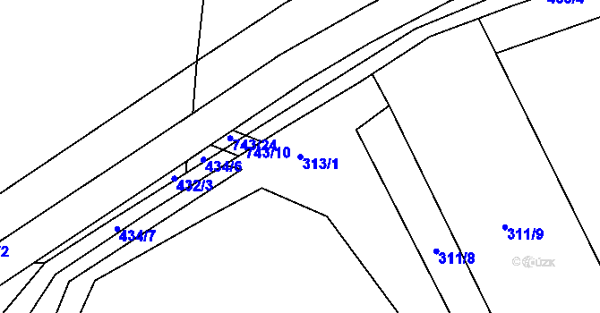 Parcela st. 313/1 v KÚ Kolomuty, Katastrální mapa