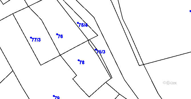 Parcela st. 75/3 v KÚ Háje u Karlových Var, Katastrální mapa
