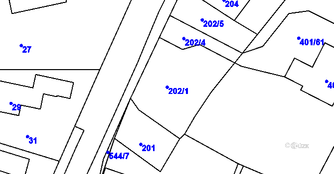 Parcela st. 202/1 v KÚ Kolová, Katastrální mapa