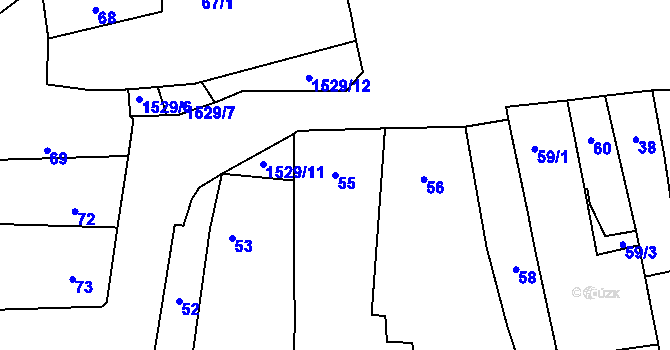 Parcela st. 55 v KÚ Koloveč, Katastrální mapa