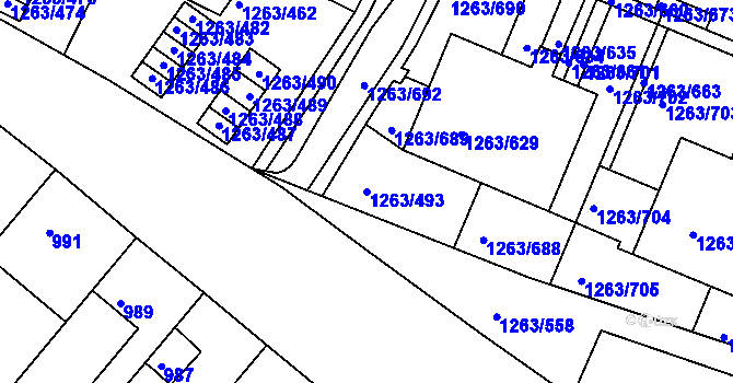 Parcela st. 1263/493 v KÚ Kolovraty, Katastrální mapa