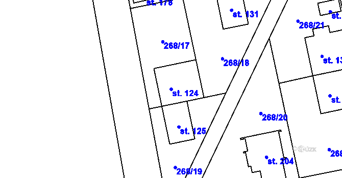 Parcela st. 124 v KÚ Kolšov, Katastrální mapa