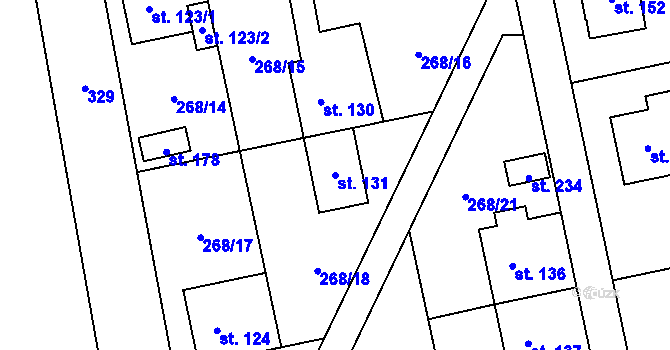 Parcela st. 131 v KÚ Kolšov, Katastrální mapa