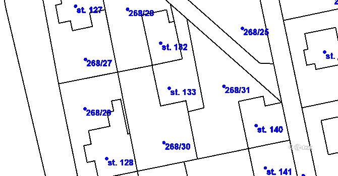 Parcela st. 133 v KÚ Kolšov, Katastrální mapa