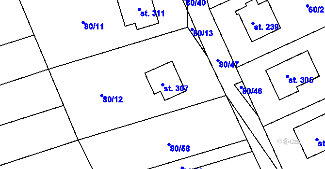 Parcela st. 307 v KÚ Kolšov, Katastrální mapa