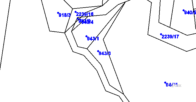 Parcela st. 943/3 v KÚ Pašinovice, Katastrální mapa