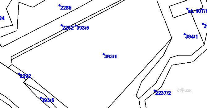 Parcela st. 393/1 v KÚ Pašinovice, Katastrální mapa
