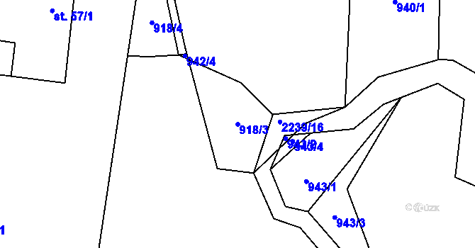 Parcela st. 918/3 v KÚ Pašinovice, Katastrální mapa