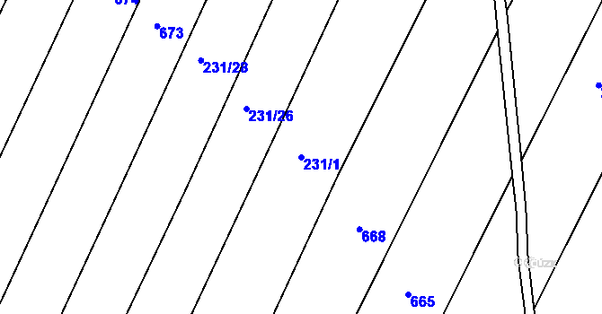 Parcela st. 231/1 v KÚ Podbřežice, Katastrální mapa
