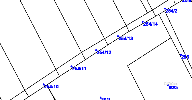 Parcela st. 254/12 v KÚ Kamenice u Konecchlumí, Katastrální mapa