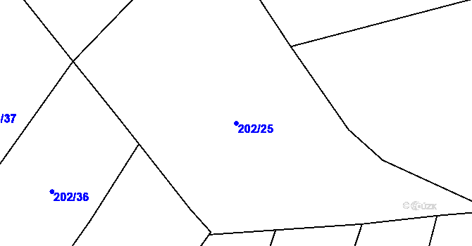 Parcela st. 202/25 v KÚ Kovač, Katastrální mapa