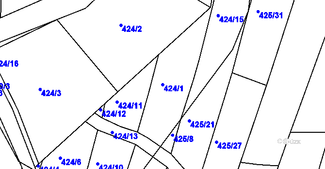 Parcela st. 424/1 v KÚ Koněšín, Katastrální mapa