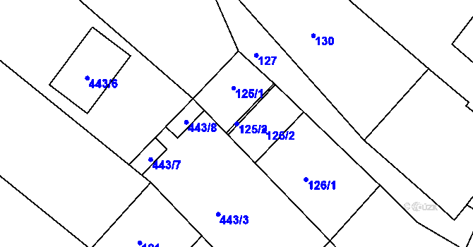 Parcela st. 125/2 v KÚ Konice u Znojma, Katastrální mapa