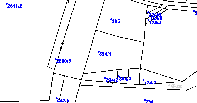 Parcela st. 394/1 v KÚ Blišice, Katastrální mapa
