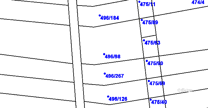 Parcela st. 496/98 v KÚ Blišice, Katastrální mapa